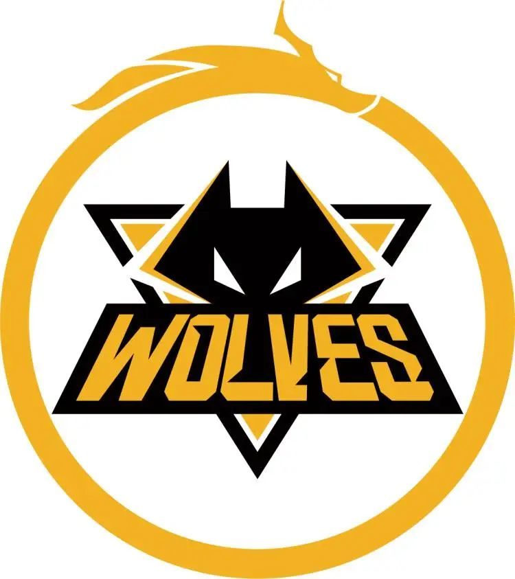 DOTA PIT联赛：Spirit 0：2 不敌Liquid